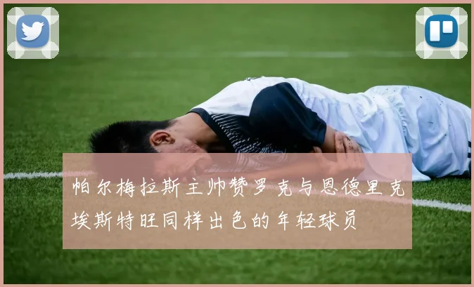 帕尔梅拉斯主帅赞罗克与恩德里克埃斯特旺同样出色的年轻球员